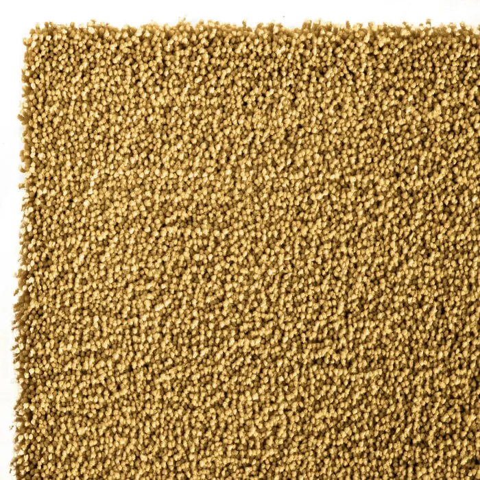 Kiss 800 Rug - X-Small | Murphy Furniture