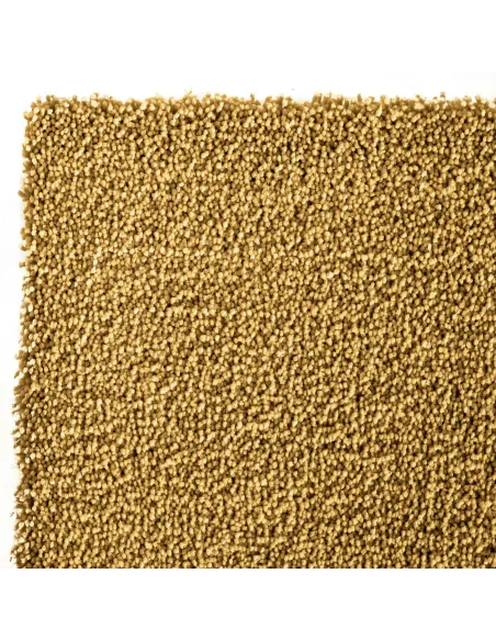 Kiss 800 Rug - X-Small | Murphy Furniture