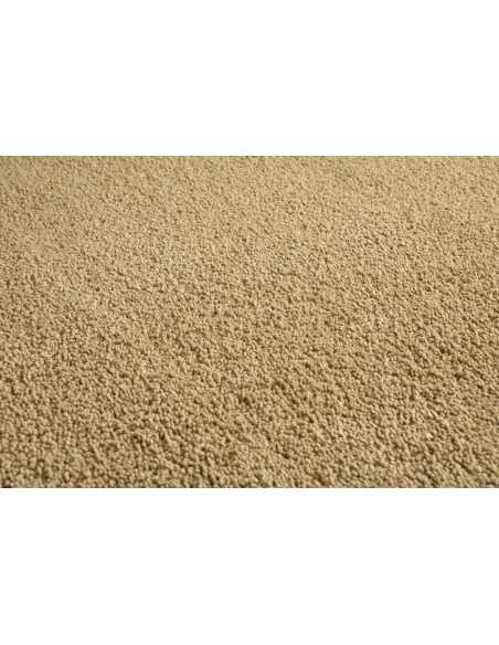 Kiss 800 Rug - X-Small | Murphy Furniture