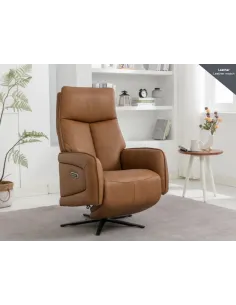 Prestige Swivel Armchair - Camel | Murphy Furniture