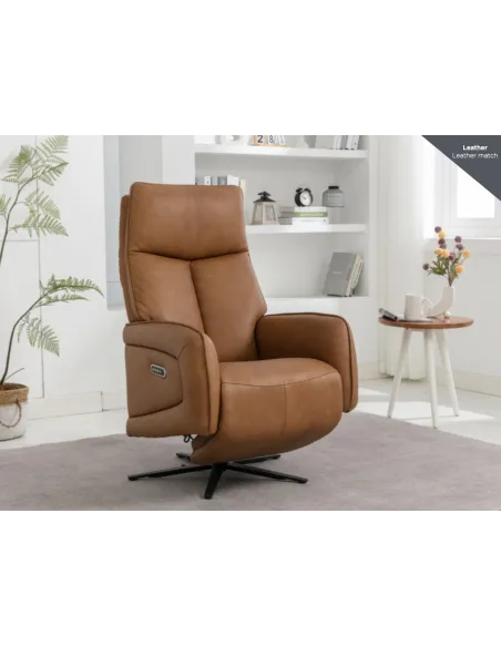 Prestige Swivel Armchair - Camel | Murphy Furniture