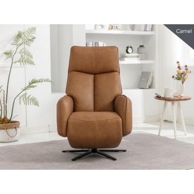 Prestige Swivel Armchair - Camel | Murphy Furniture