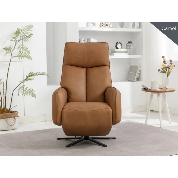 Prestige Swivel Armchair - Camel | Murphy Furniture
