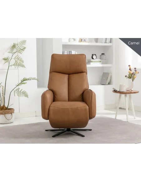 Prestige Swivel Armchair - Camel | Murphy Furniture