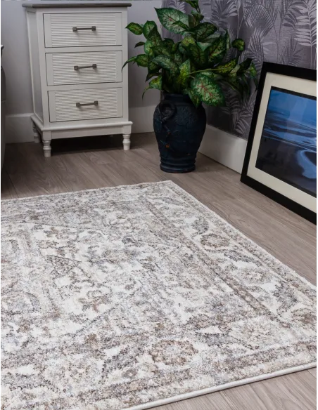 Astoria Yasmin Rug - Various Sizes | Murphy Furniture