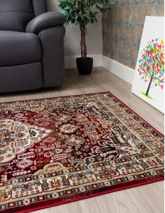 Aziza Medallion Red Rug - Various Sizes | Murphy Furniture 2