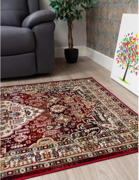 Aziza Medallion Red Rug - Various Sizes | Murphy Furniture