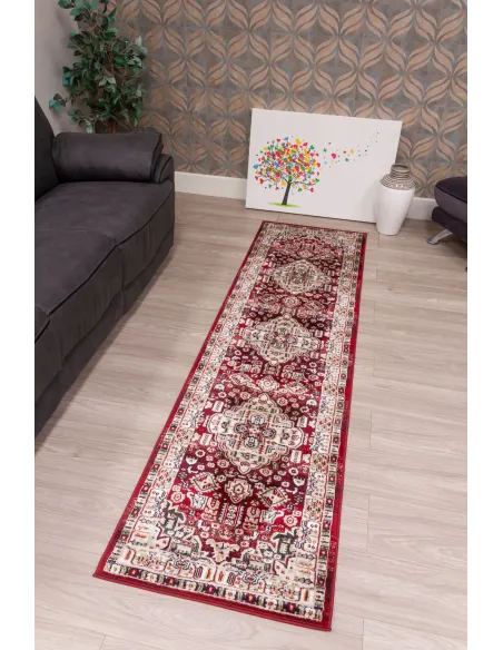 Aziza Medallion Red Rug - Various Sizes | Murphy Furniture