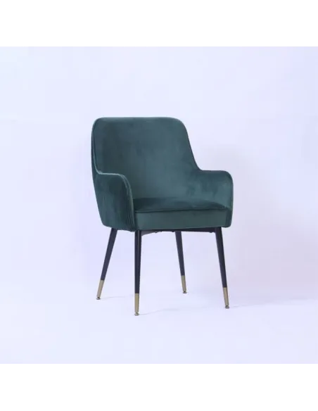 Ottowa Dining Chair - Green | Murphy Furniture