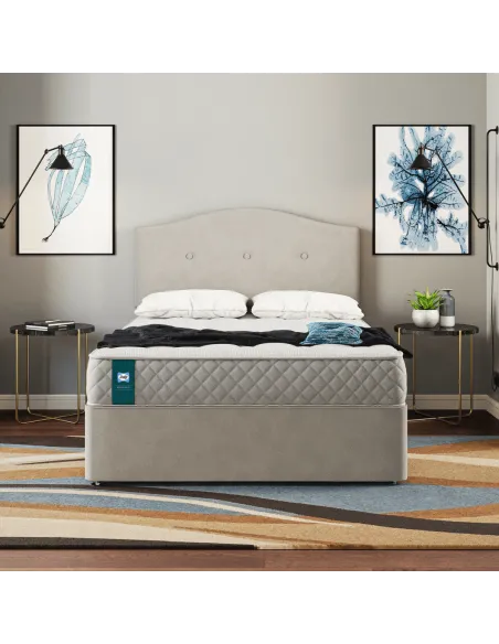 Chester 5FT Sealy Mattress | Murphy Furniture