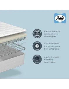 Chester 5FT Sealy Mattress | Murphy Furniture 2