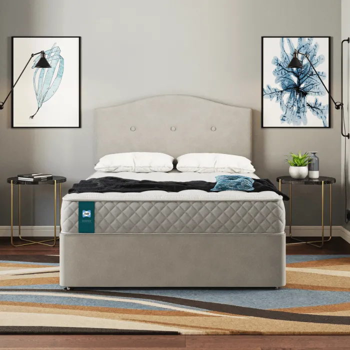 Chester 4FT6 Sealy Mattress | Murphy Furniture