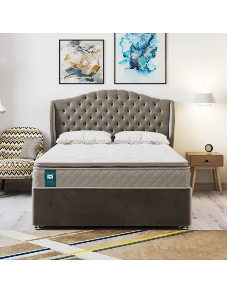 Alston 4FT6 Sealy Mattress | Murphy Furniture