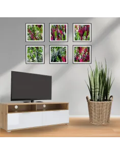 Cheshire 2 Drawer TV Stand - Tacho Oak/W | Murphy Furniture