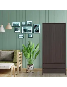 Lincoln 2 Door 2 Drawer Wardrobe - Dark | Murphy Furniture