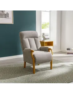 Edilmar Static Armchair - Silvery Grey | Murphy Furniture