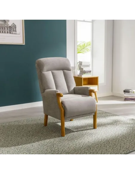 Edilmar Static Armchair - Silvery Grey | Murphy Furniture