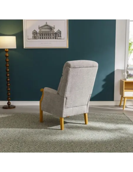 Edilmar Static Armchair - Silvery Grey | Murphy Furniture