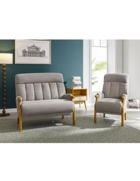 Edilmar Static Armchair - Silvery Grey | Murphy Furniture