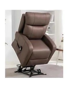Essence Tilt & Rise Armchair (Dual Motor | Murphy Furniture