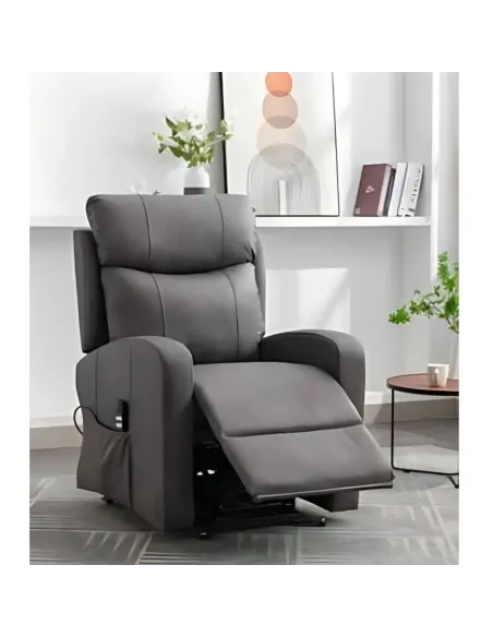 Essence Tilt & Rise Armchair (Dual Motor | Murphy Furniture