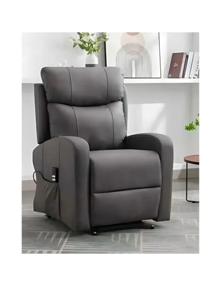 Essence Tilt & Rise Armchair (Dual Motor | Murphy Furniture
