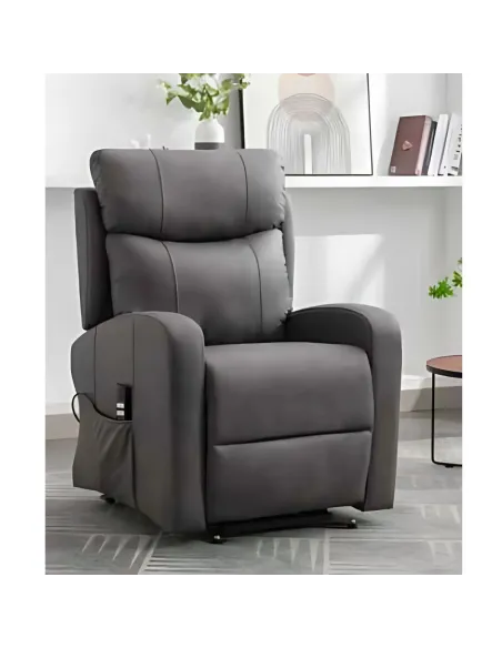 Courtney Tilt & Rise Armchair(Dual Motor | Murphy Furniture