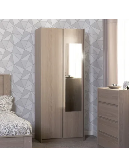 Paris 2 Door Mirrored Wardrobe - Smoked | Murphy Furniture