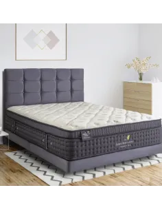 Natures Touch Pillow Top/Spinal Zone Nat | Murphy Furniture