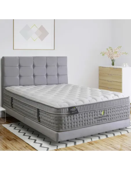 Natures Finest Pillow Top/Spinal Zone Na | Murphy Furniture