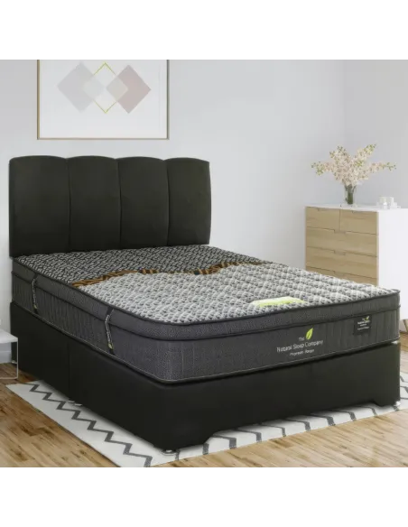 Royal Faux Pillow Top Natural Sleep Matt | Murphy Furniture