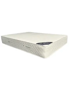 Carlingford 1000 Super Ortho Dream World | Murphy Furniture 2