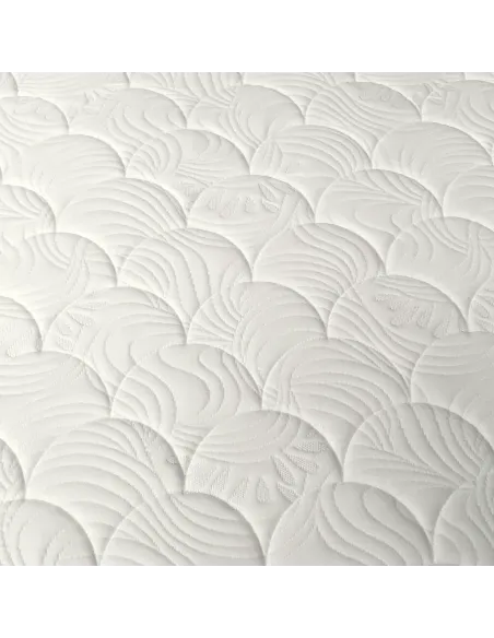 Carlingford 1000 Super Ortho Dream World | Murphy Furniture