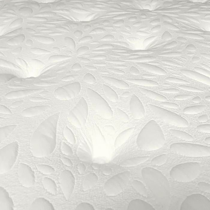 Bantry Posture Care Dream World Mattress | Murphy Furniture