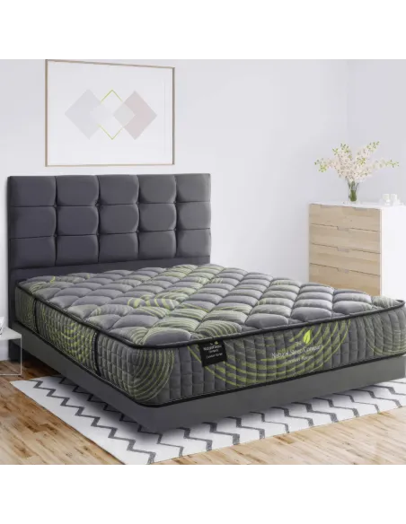 DW 6ft Designer Paris Divan Bed Set (Div | Murphy Furniture