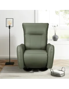 Monti Electric Armchair - Green Leather | Murphy Furniture 2