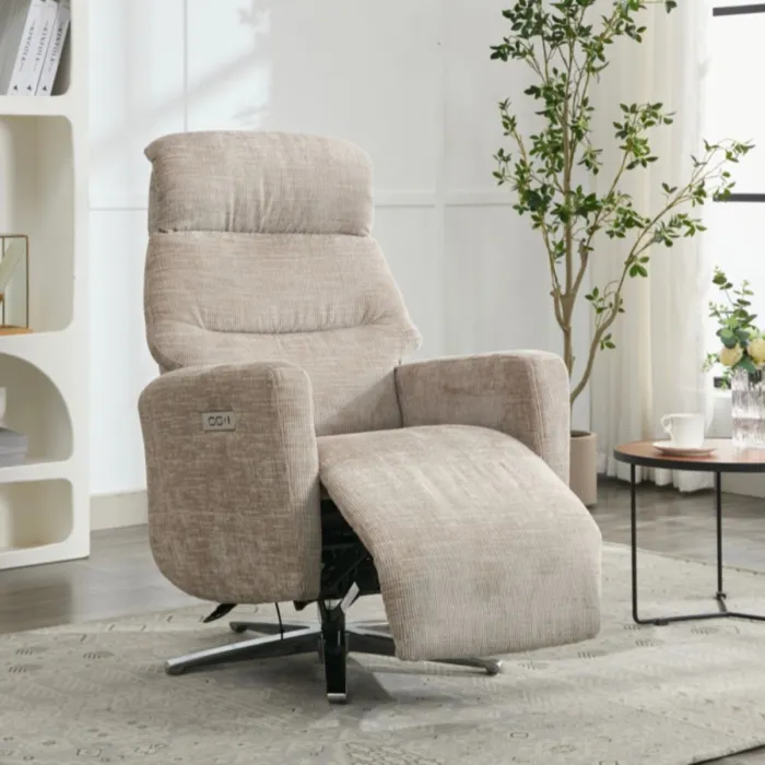 Monique TV Armchair - Fossil