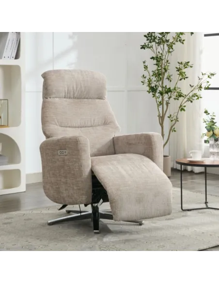Monique TV Armchair - Fossil