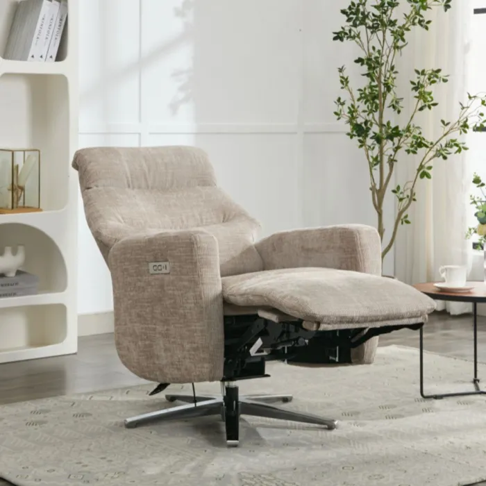 Monique TV Armchair - Fossil