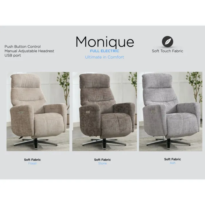 Monique TV Armchair - Ash